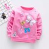 Baby Girl Fancy Long Sleeve Top